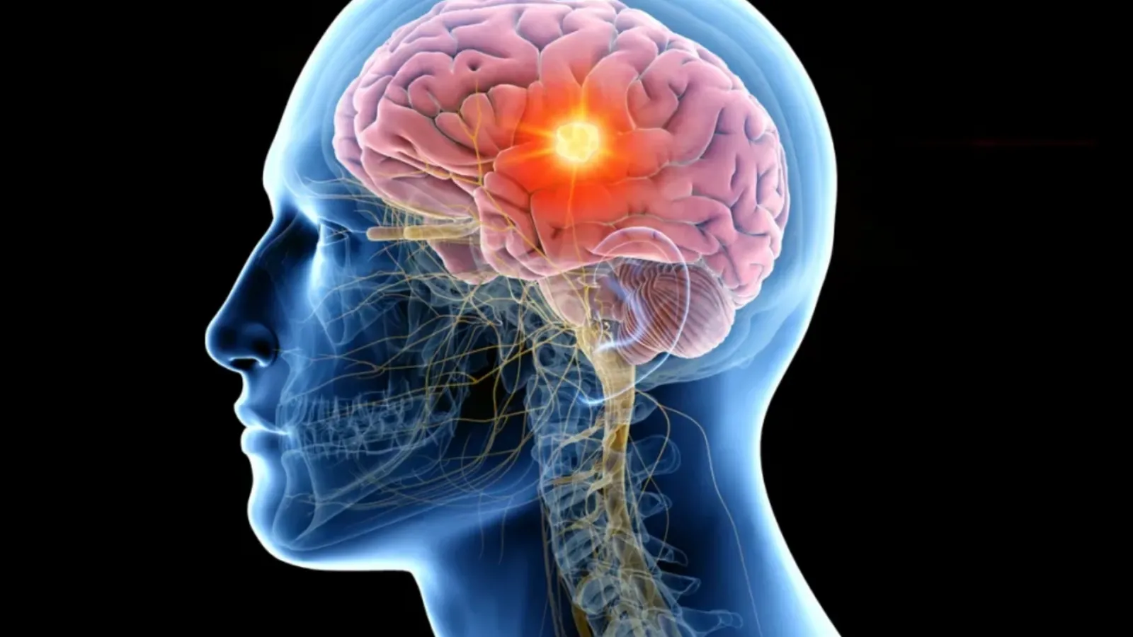 Oamenii de știință au descoperit un comutator ascuns în creier