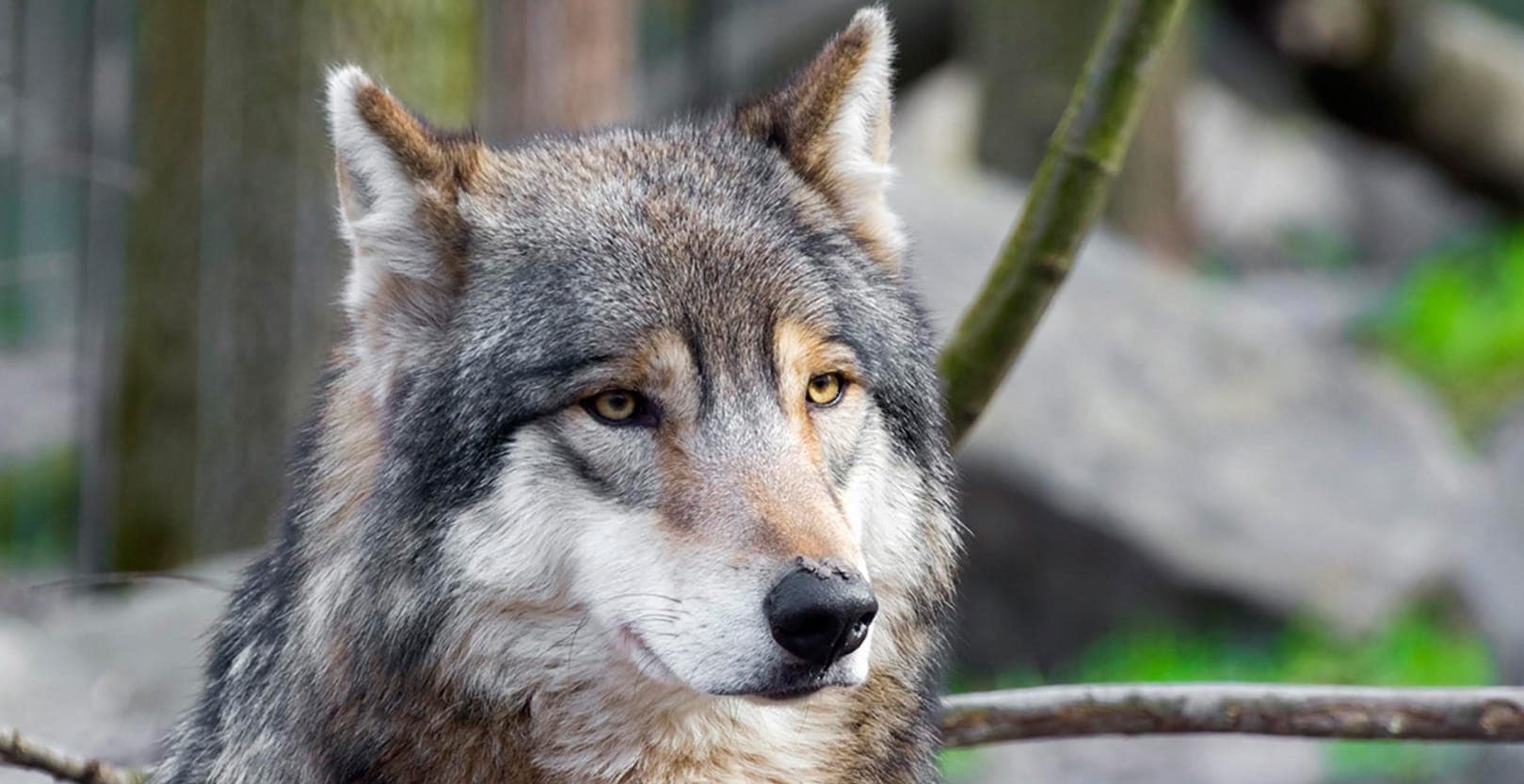 Problemă uriașă pentru România: Risc major să pierdem banii pentru 2 dintre cele mai importante autostrăzi