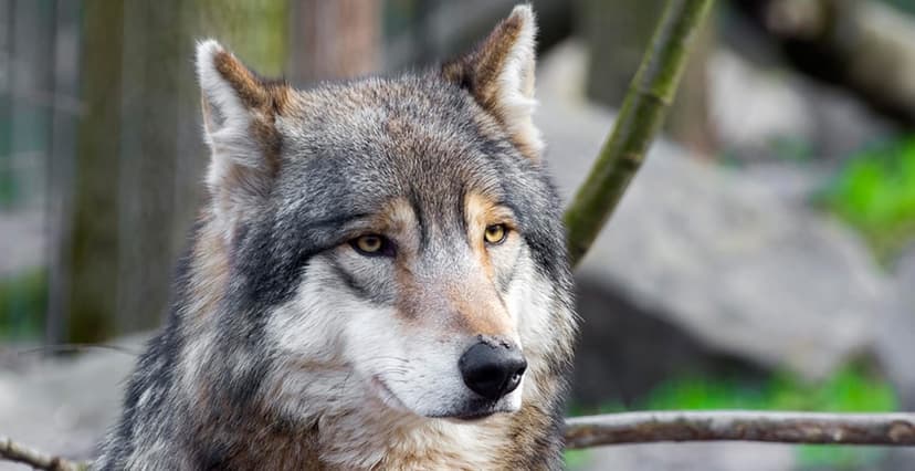 Problemă uriașă pentru România: Risc major să pierdem banii pentru 2 dintre cele mai importante autostrăzi